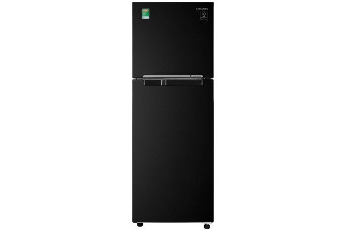Tủ Lạnh Samsung Inverter 236 Lít RT22M4032BU/SV